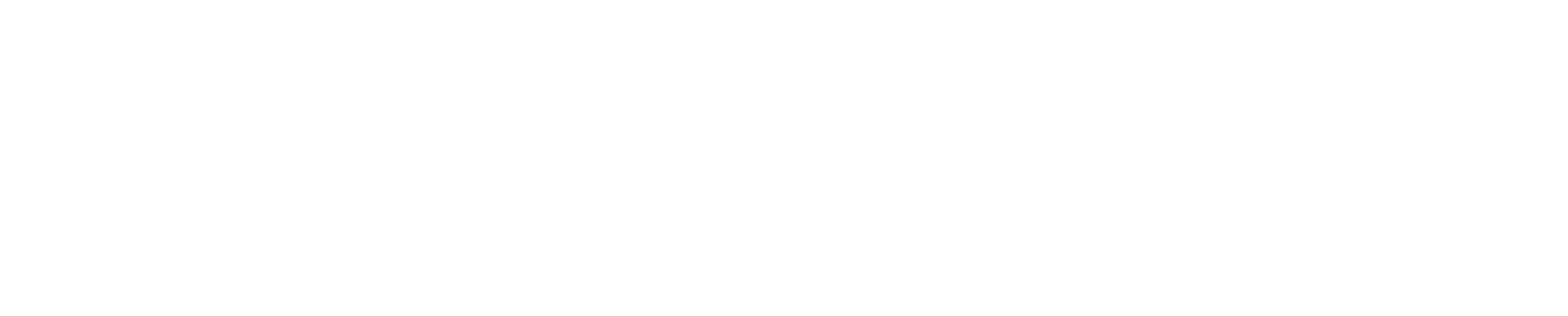 SOELU